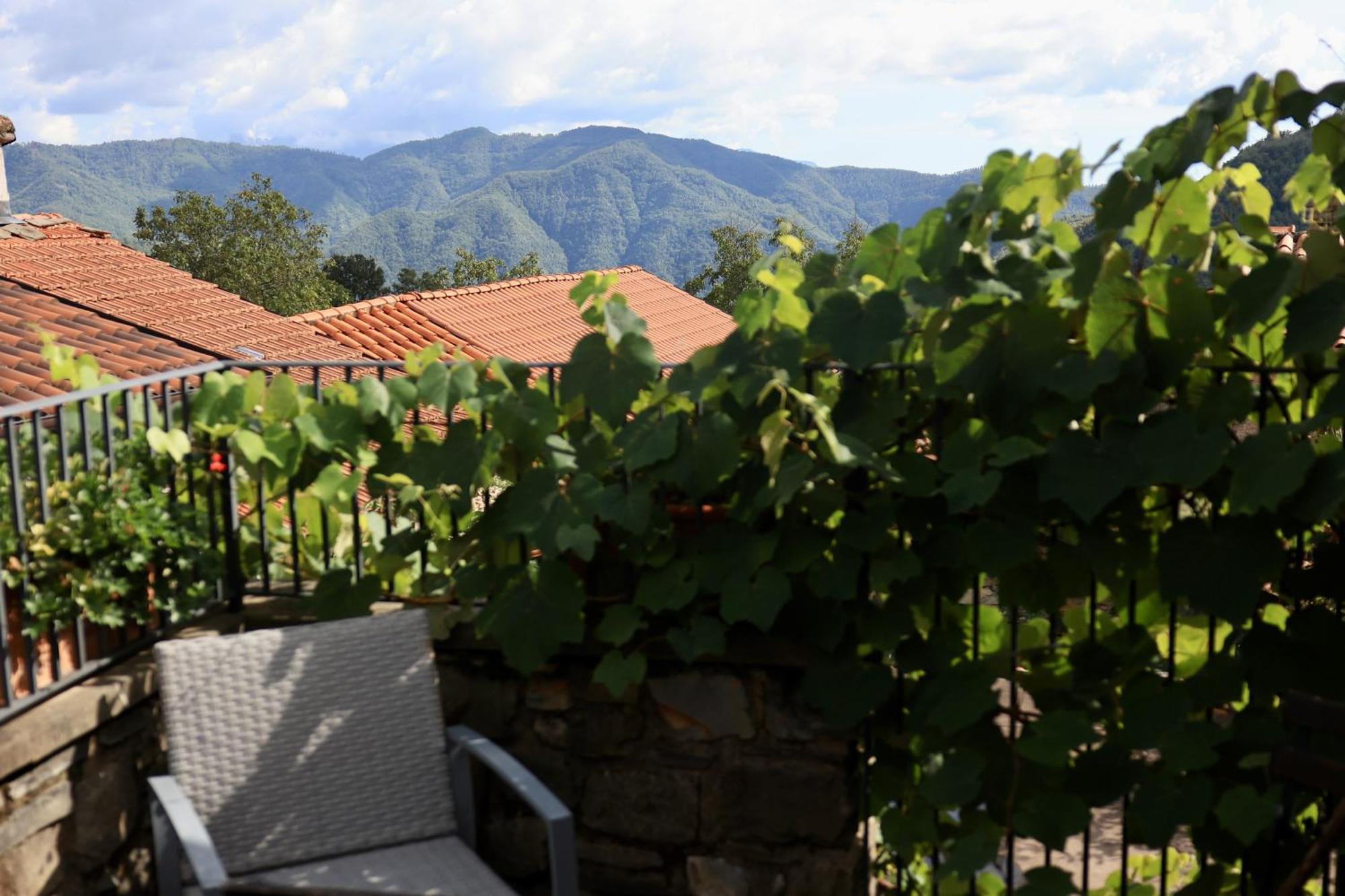 Agriturismo Montagna Verde Apella Licciana Nardi Ngoại thất bức ảnh