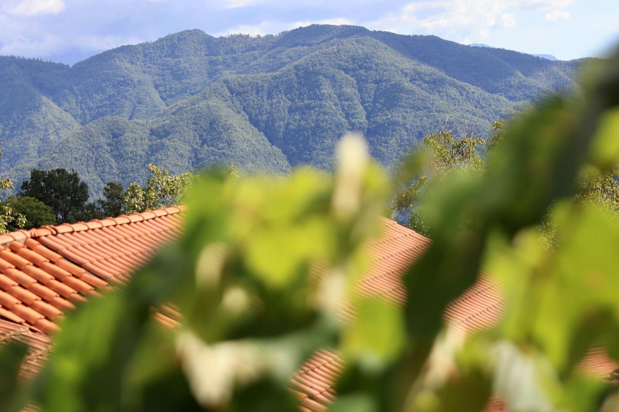 Agriturismo Montagna Verde Apella Licciana Nardi Ngoại thất bức ảnh